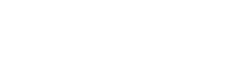 Primary Arms